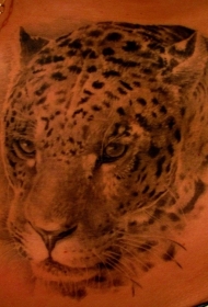 非常逼真的豹子头像纹身图案