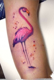 手臂甜美的粉红色火烈鸟色纹身图案