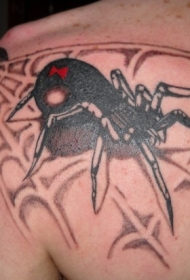 背部写实的3D五彩大蜘蛛和蜘蛛网纹身图案