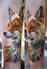 手臂华丽的3D逼真彩色狐狸纹身图案