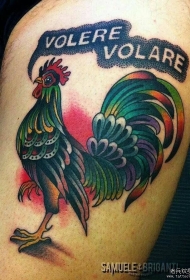 欧美school彩色公鸡英文字母纹身图案