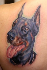 背部写实丰富多彩的杜宾犬头像纹身图案