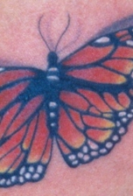 彩色的3D帝王蝶纹身图案
