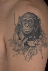 大臂漂亮的黑色猩猩和树叶纹身图案