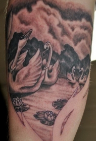 手臂湖面上的黑天鹅和白天鹅荷花纹身图案