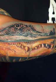 手臂非常逼真的大鳄鱼头部纹身图案