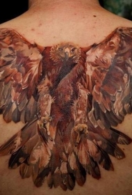背部彩色飞行的鹰纹身图案