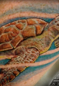 写实的水彩海龟纹身图案
