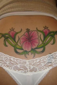 背部彩色的芙蓉花纹身图案