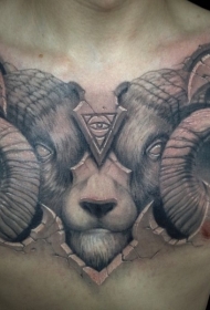 胸部黑灰神秘的恶魔山羊纹身图案