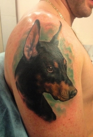 手臂严肃的五颜六色杜宾犬和绿色背景纹身图案