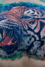背部精彩的大老虎头像纹身图案