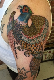大臂漂亮的彩色鸟纹身图案