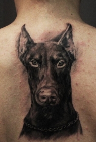 静静的杜宾犬头像背部纹身图案