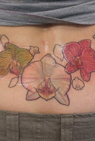 腰部不同颜色的兰花纹身图案