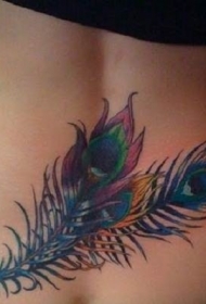 腰部五彩美丽的孔雀羽毛纹身图案