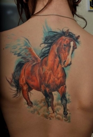 背部伟大的美丽飞马纹身图案