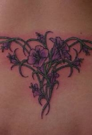 背部部落三角形藤蔓与花朵纹身图案