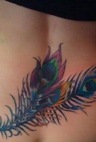 腰部彩色美丽的孔雀羽毛纹身图案