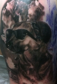 手臂逼真的狗和太阳眼镜个性纹身图案