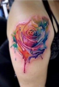肩部高级水彩风格彩色玫瑰纹身图案