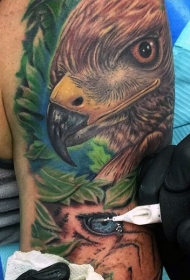 手臂惊人的彩绘和动物眼睛与鹰纹身图案