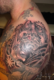 肩部亚洲螃蟹写实纹身图案