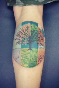 小腿美丽的圆形不同季节树纹身图案