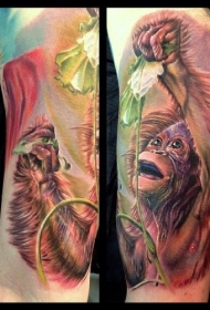 手臂可爱的自然逼真猴子和花朵彩绘纹身图案