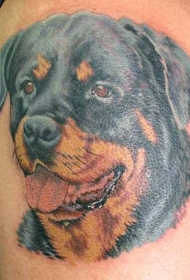 手臂炫彩的罗威纳犬写实纹身图案