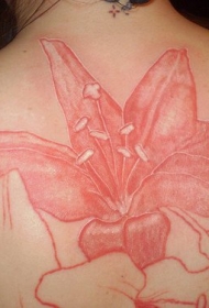 美丽的红色百合花背部图案