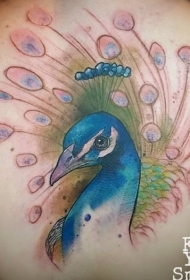 背部非常自然美丽的孔雀彩绘纹身图案