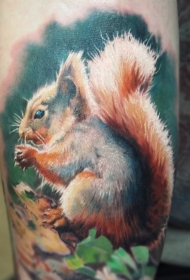 手臂写实可爱的松鼠纹身图案