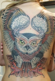 背部美好的颜色猫头鹰纹身图案
