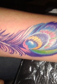 手臂彩色的唯美孔雀羽毛纹身图案