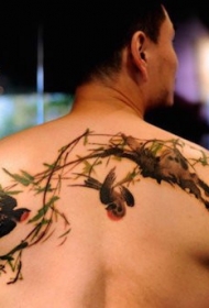 可爱的彩色写实燕子树枝背部纹身图案