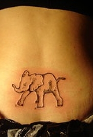 腰部黑色线条的大象纹身图案