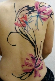 背部新风格彩色美丽的花朵纹身图案