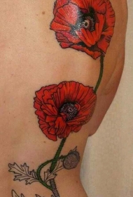 背部红色的罂粟花个性纹身图案