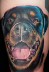 手臂幸福的写实罗威纳犬头像纹身图案