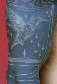 可爱的白色蜂鸟和黑色背景手臂纹身图案