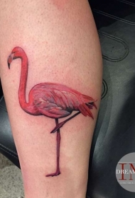 小腿美丽的彩色火烈鸟纹身图案