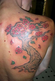 美丽的樱花树彩色背部纹身图案