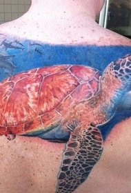 背部写实风格的大海龟和水下世界纹身图案