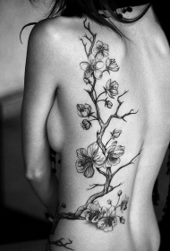 背部亚洲风格黑白树枝花朵纹身图案