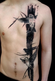 胸部和腹部黑灰写实小鸟纹身图案