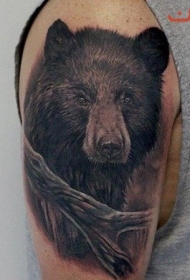 大臂上的黑色熊头像树枝纹身图案