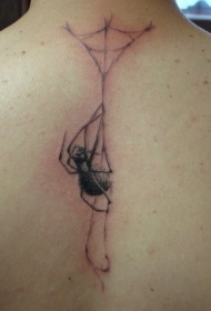 背部蜘蛛织网个性纹身图案