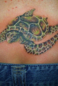 背部写实逼真的海龟纹身图案