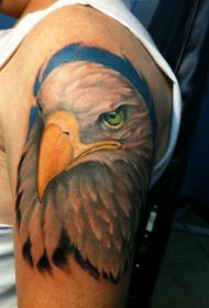 大臂彩色鹰头个性纹身图案